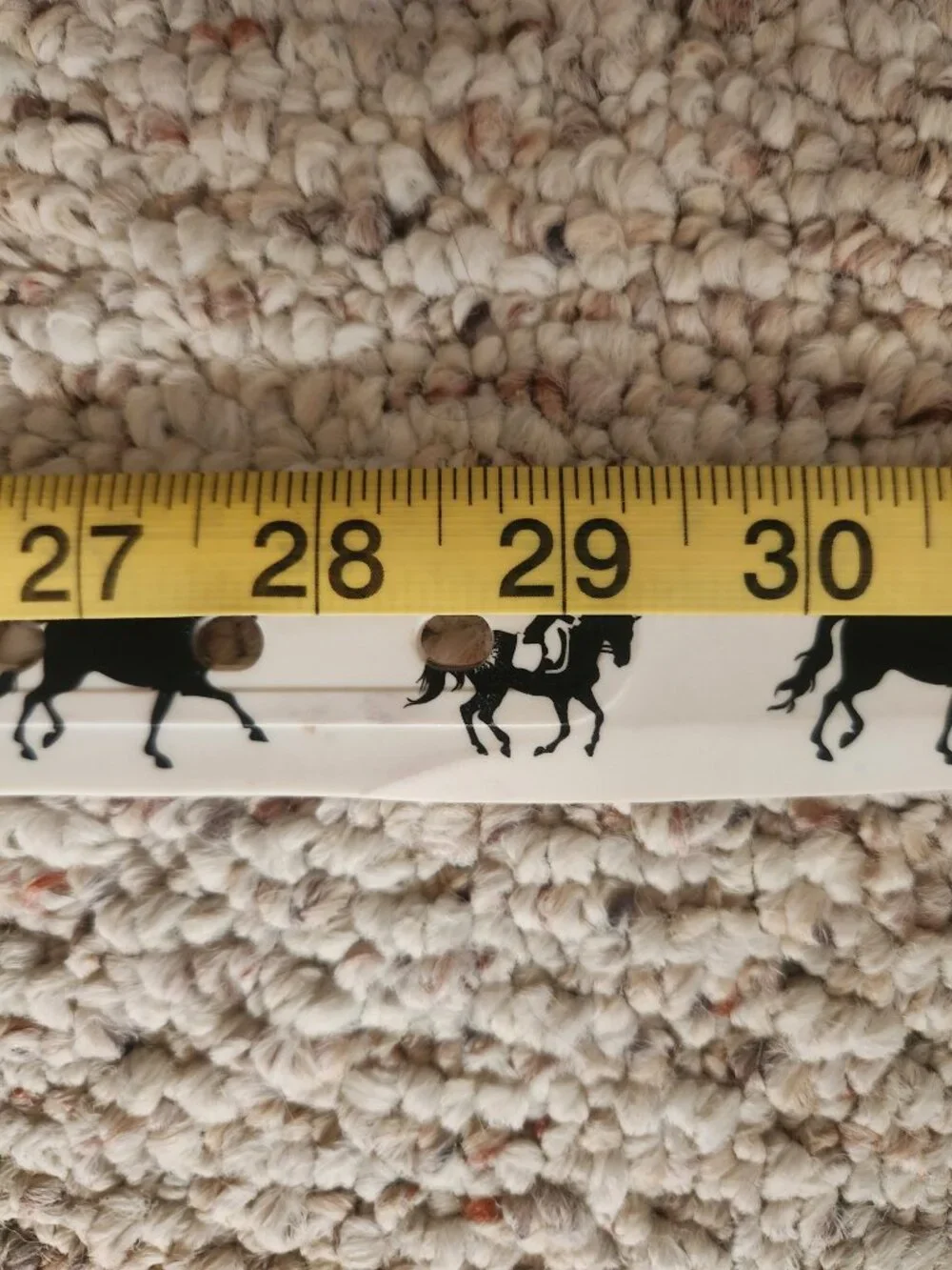Equestrian belt